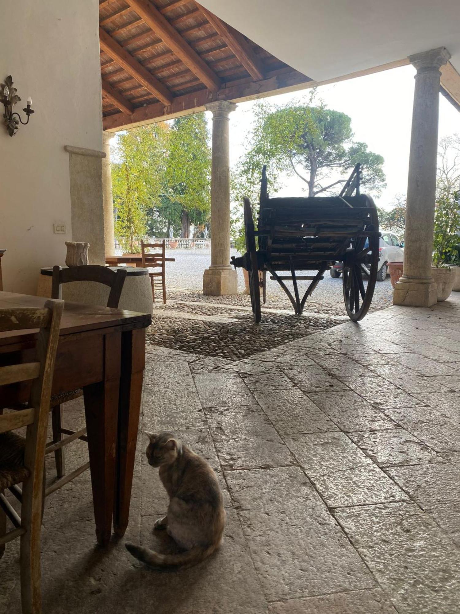 Villa Stecchini Bassano del Grappa Esterno foto