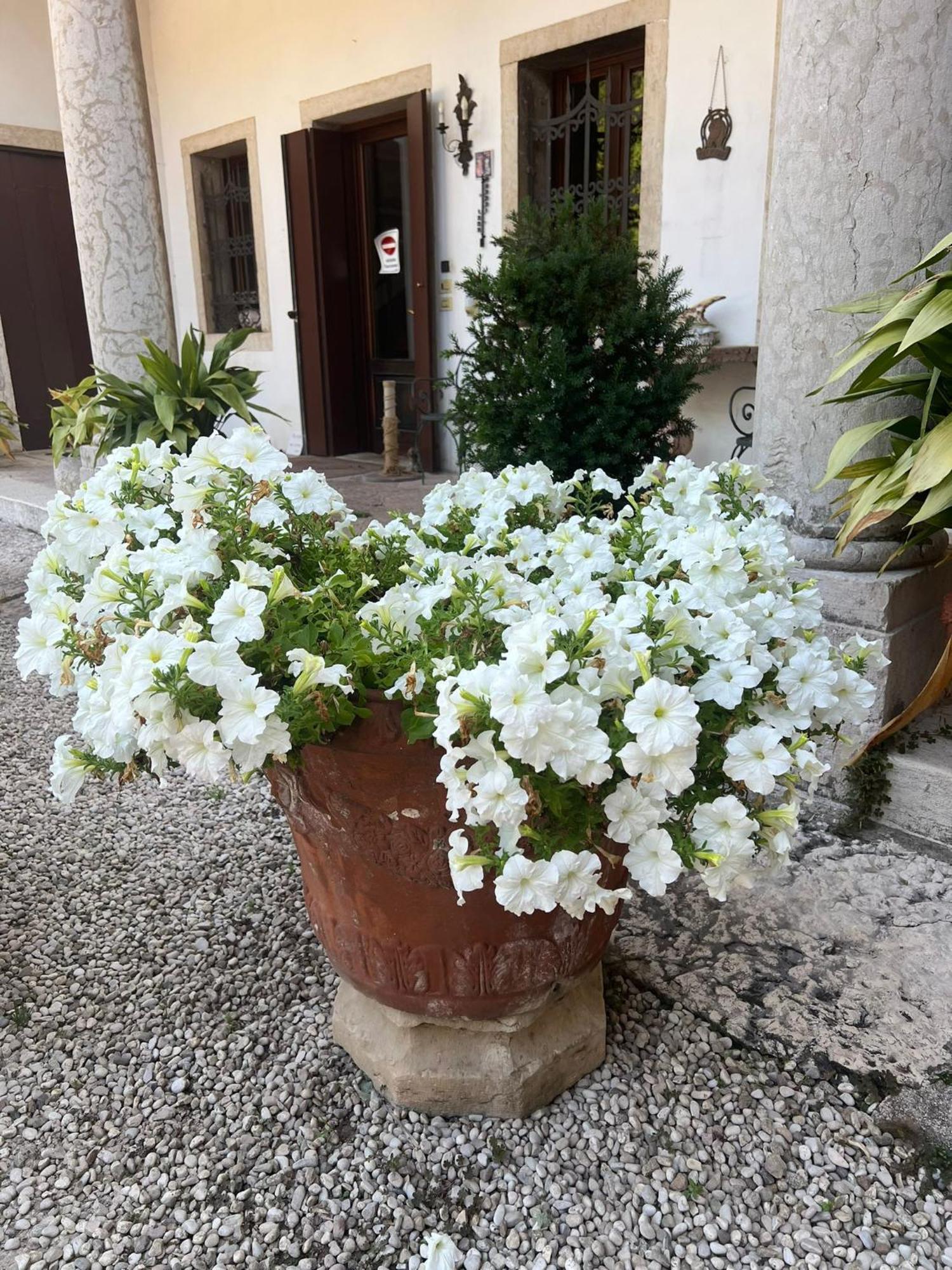 Villa Stecchini Bassano del Grappa Esterno foto