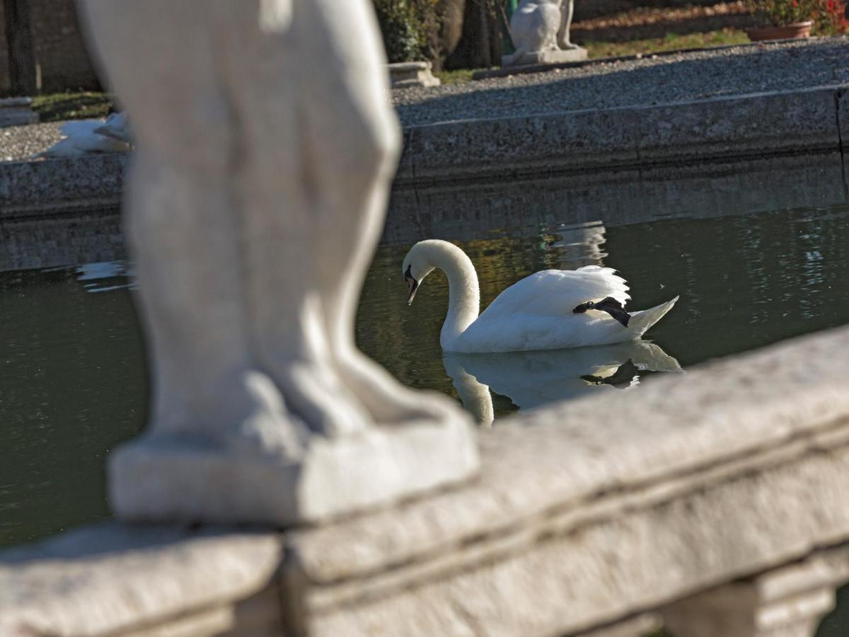 Villa Stecchini Bassano del Grappa Esterno foto
